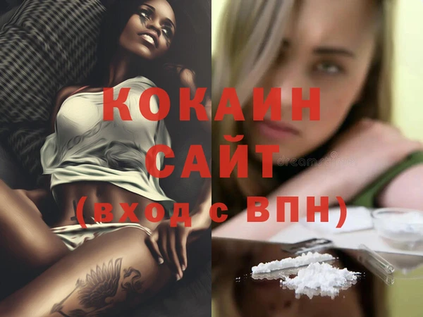 ГАЛЛЮЦИНОГЕННЫЕ ГРИБЫ Осинники