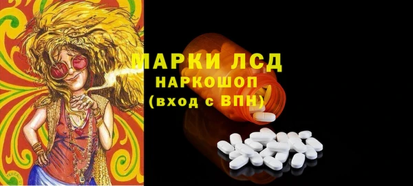 хмурый Няндома