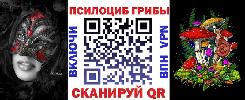 Галлюциногенные грибы Psilocybe  Подпорожье 