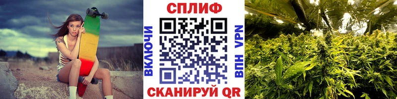 Конопля семена  Подпорожье 